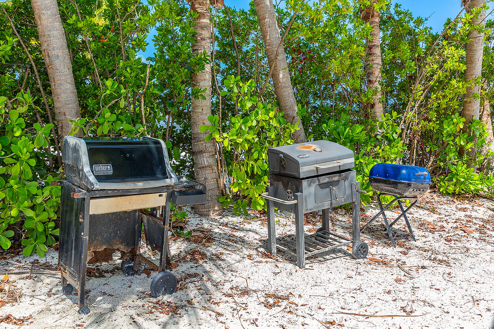 65821 Overseas Highway, Unit 35 Long Key, FL 33001 - Photo 72 of 82 a view of a chairs and table in a backyard
