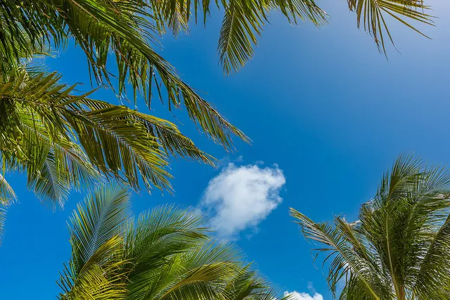 $485,000 | 65821 Overseas Highway, Unit 35, Long Key, FL 33001