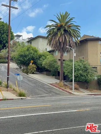 a view of a palm trees front of house
