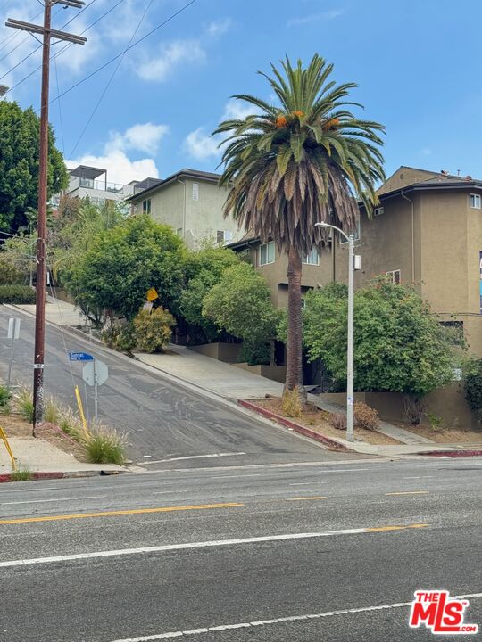 1312 Quintero Street, Unit 11 Los Angeles, CA 90026 - Photo 3 of 16 a view of a palm trees front of house