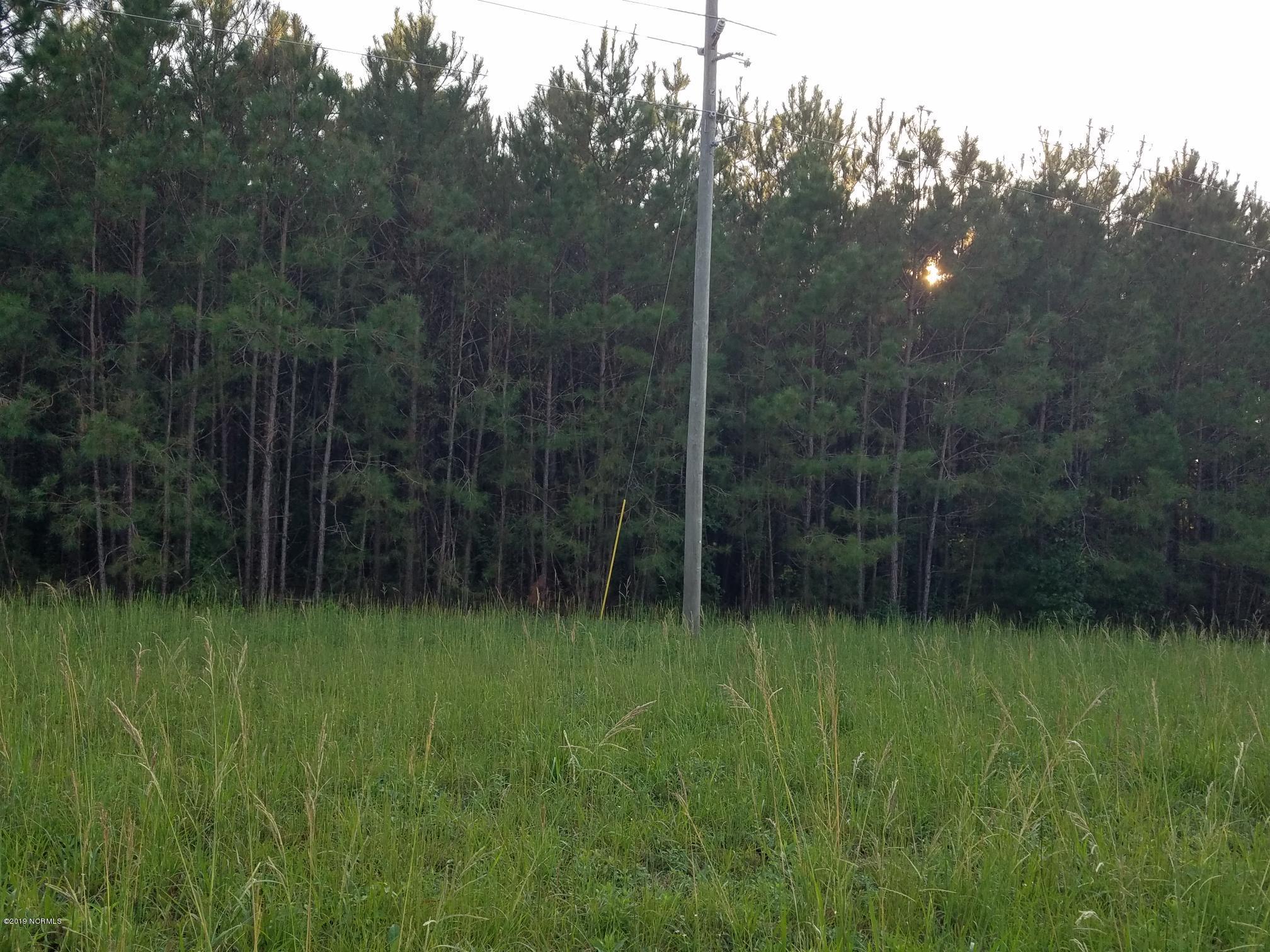 9.56-ac Calabash Road Northwest Calabash, NC 28467 - Photo 16 of 19 20190929_174959