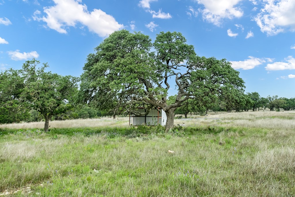 181 Real Lake House Road South Kerrville, TX 78028 - Photo 13 of 18 a view of outdoor space and yard