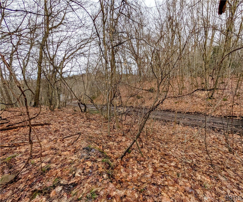 24 Worden Road Minetto, NY 13126 - Photo 2 of 13