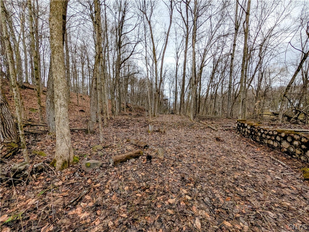 24 Worden Road Minetto, NY 13126 - Photo 6 of 13
