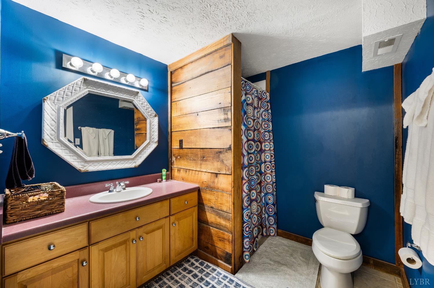 216 Burford Farm Road Monroe, VA 24574 - Photo 52 of 80 a bathroom with a toilet a sink and mirror