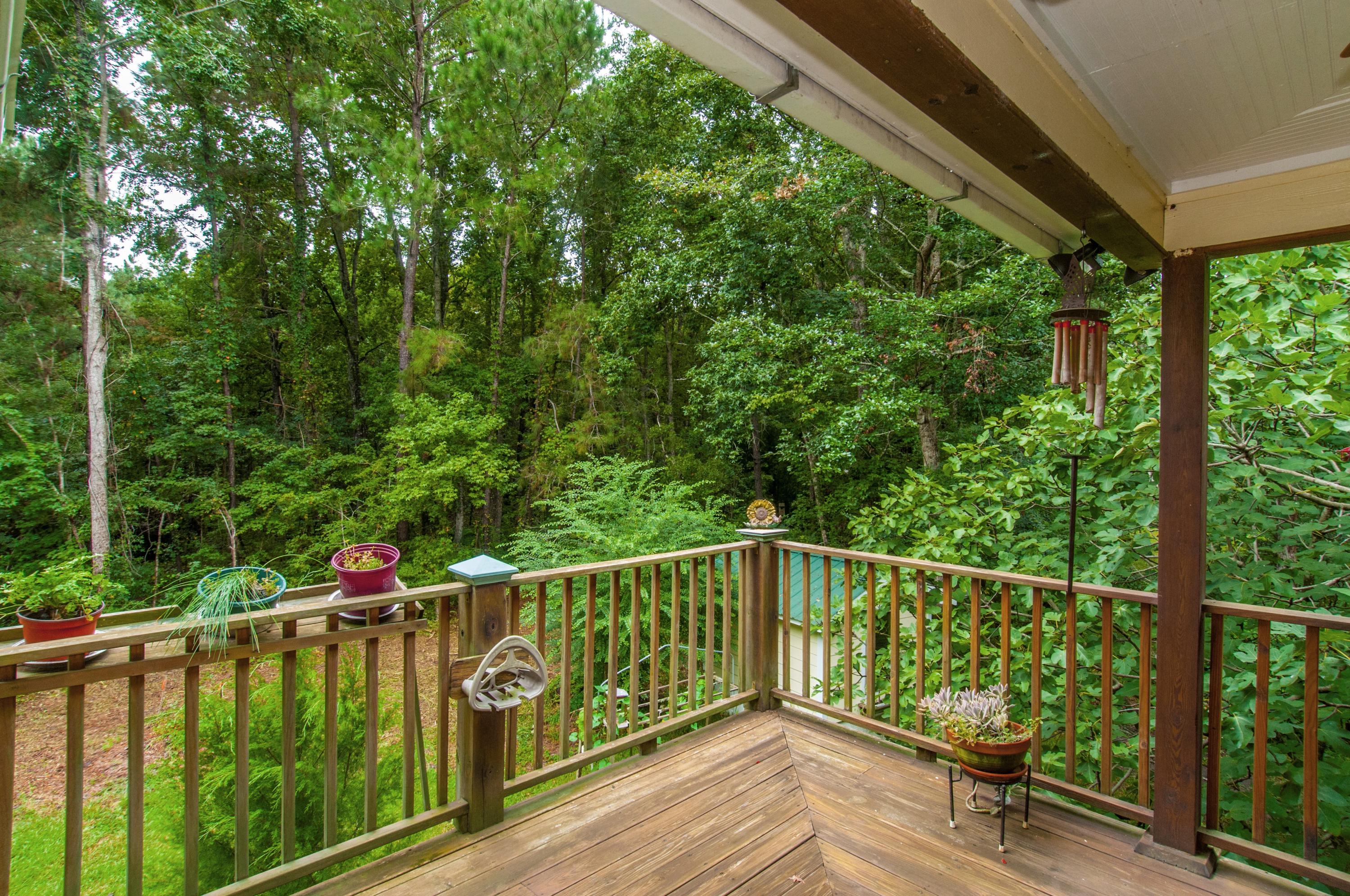 8026 Maxie Road Edisto Island, SC 29438 - Photo 42 of 57 _DSC0164