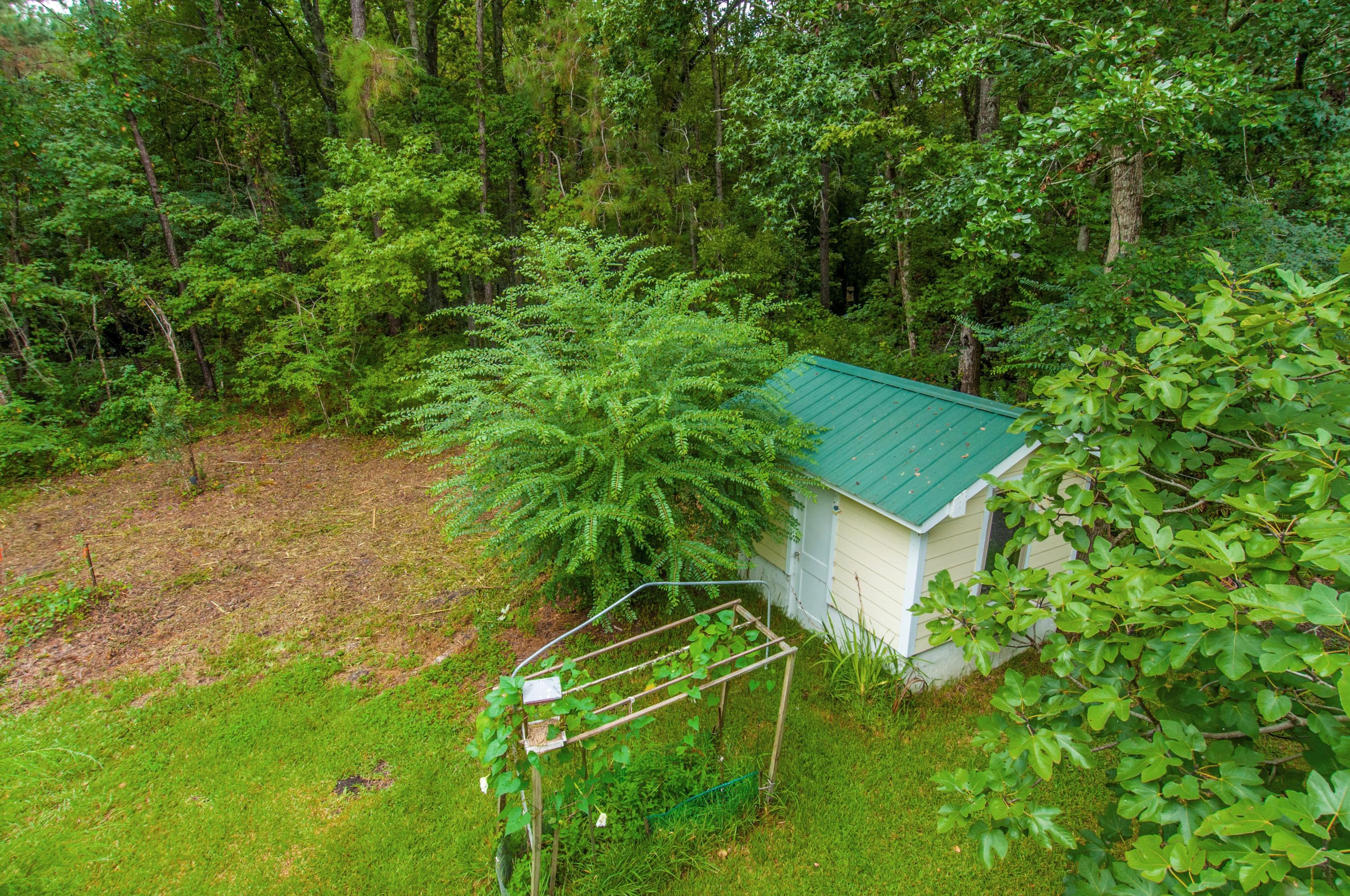 8026 Maxie Road Edisto Island, SC 29438 - Photo 43 of 57 _DSC0165