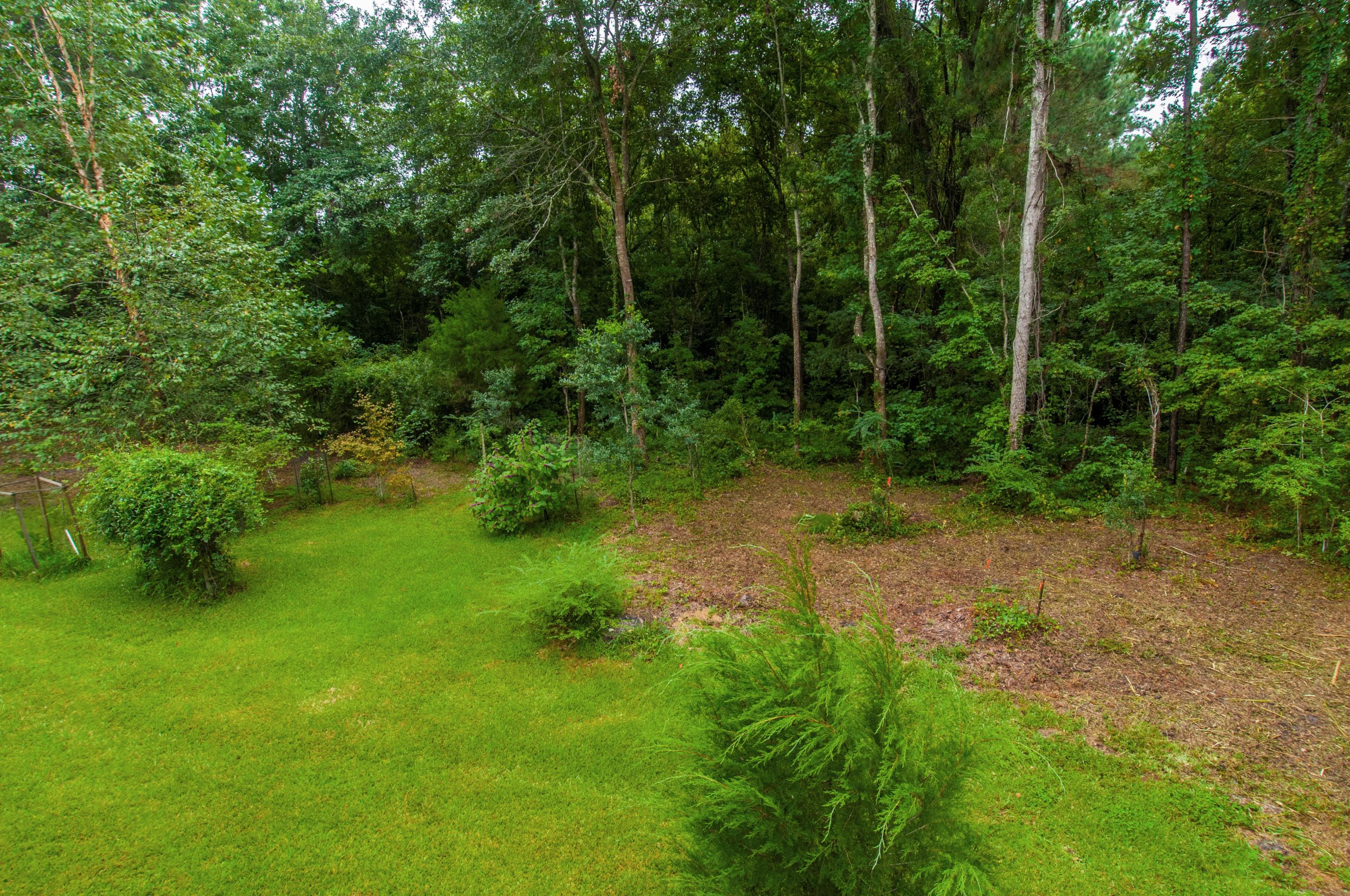 8026 Maxie Road Edisto Island, SC 29438 - Photo 44 of 57 _DSC0166
