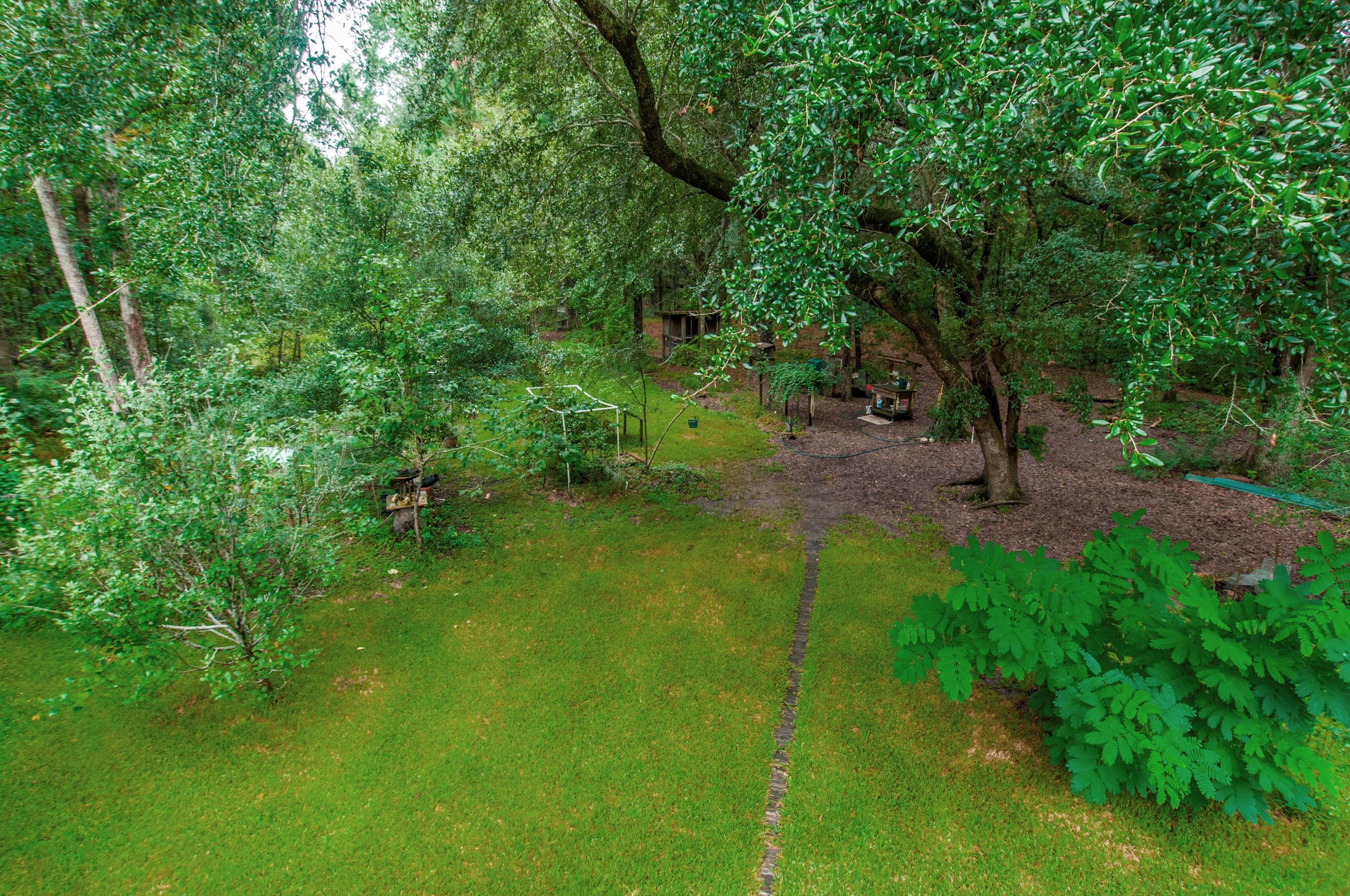8026 Maxie Road Edisto Island, SC 29438 - Photo 47 of 57 _DSC0171