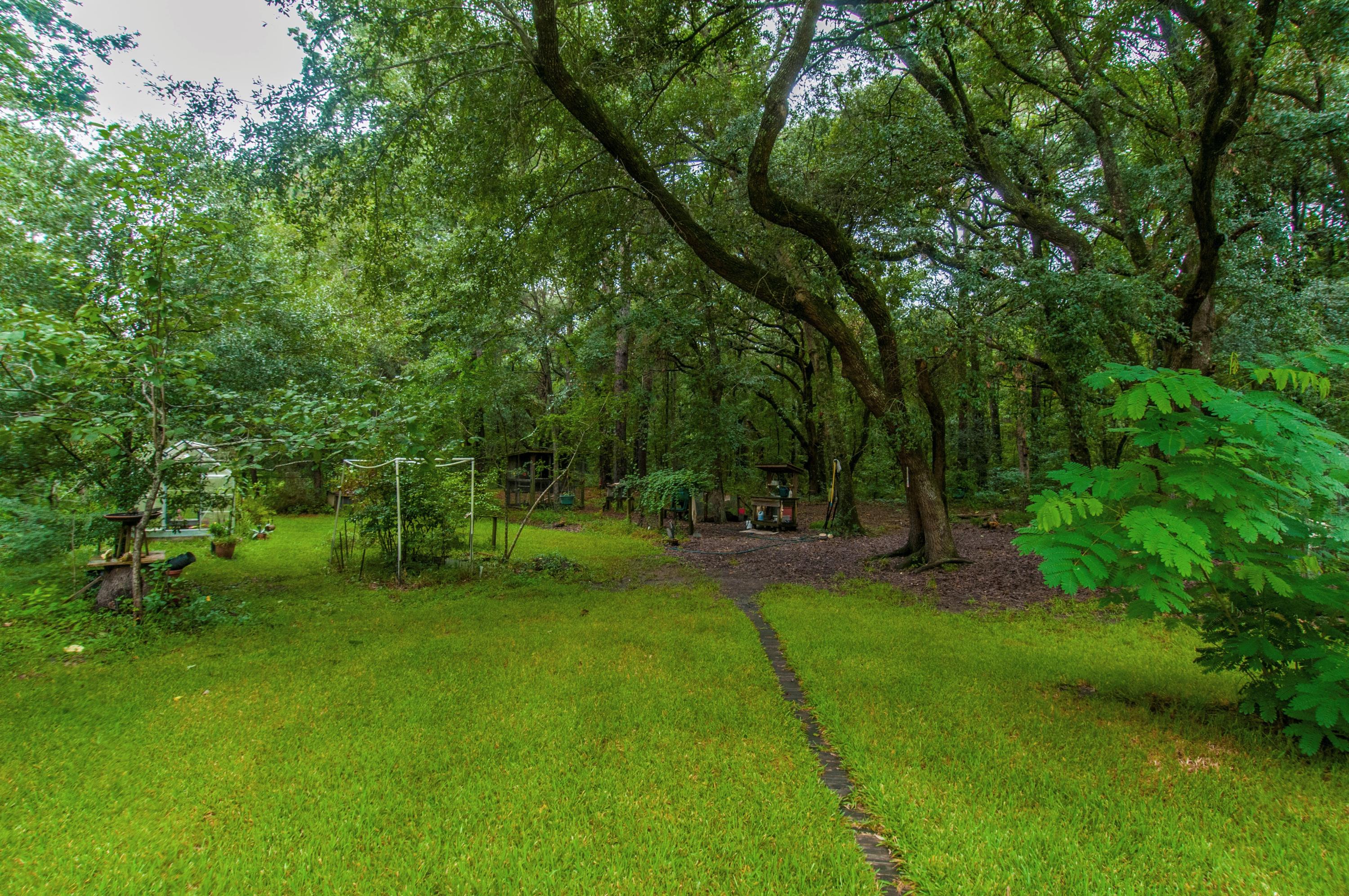 8026 Maxie Road Edisto Island, SC 29438 - Photo 50 of 57 _DSC0175