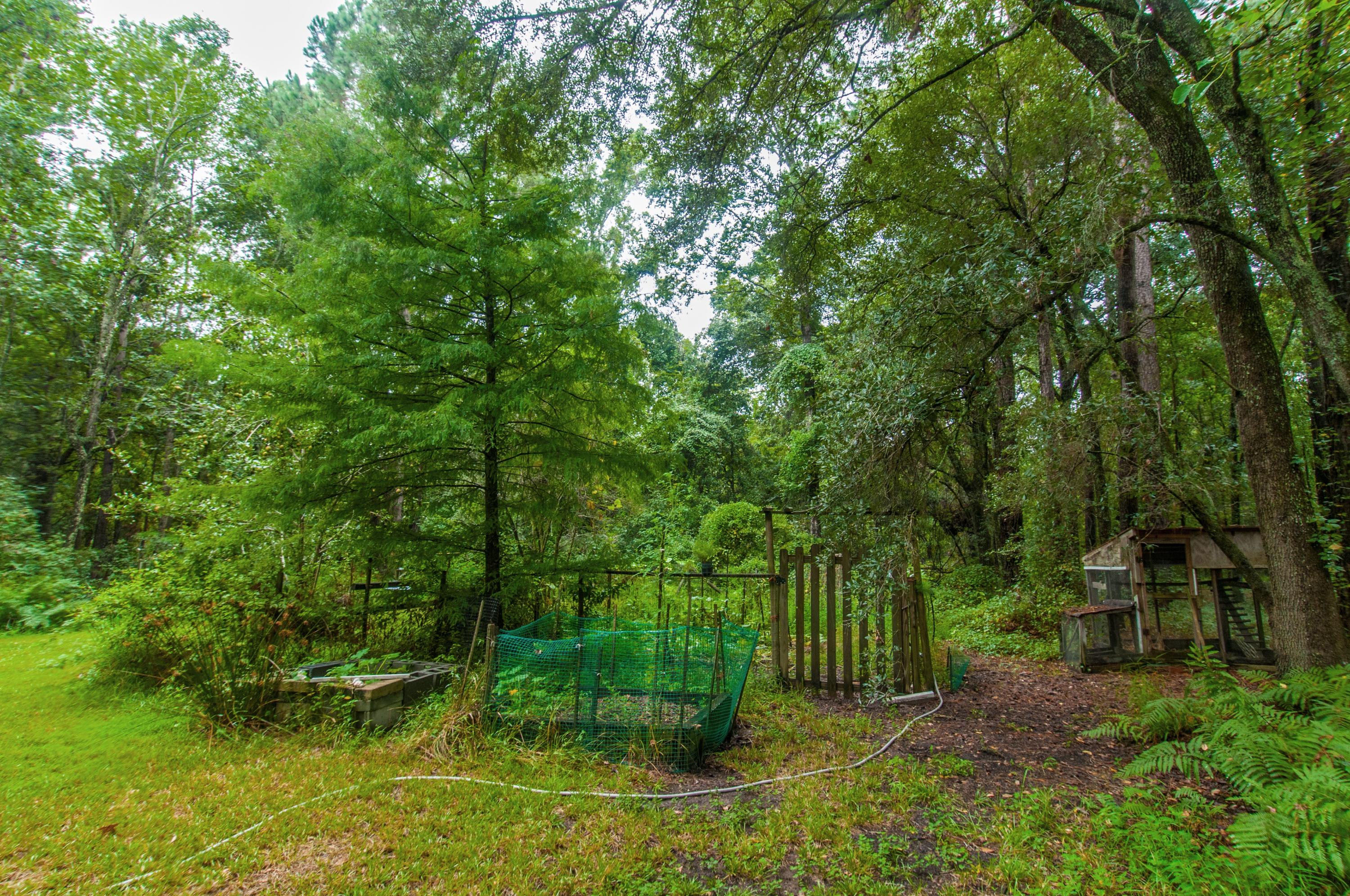 8026 Maxie Road Edisto Island, SC 29438 - Photo 53 of 57 _DSC0180