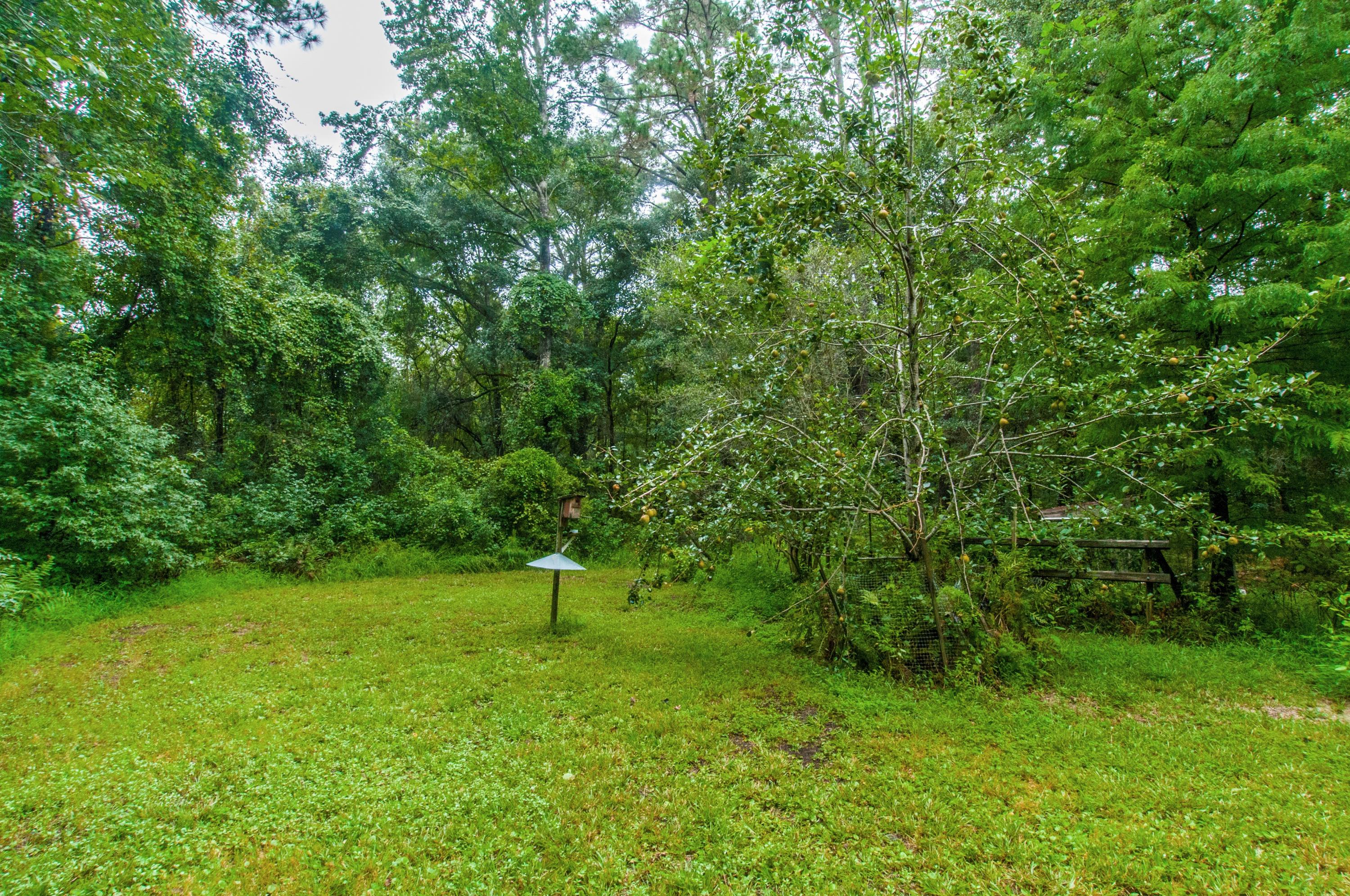 8026 Maxie Road Edisto Island, SC 29438 - Photo 54 of 57 _DSC0181