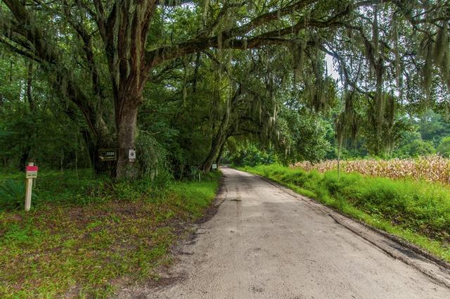 8026 Maxie Road Edisto Island, SC 29438 - Photo 6 of 57 _DSC0108