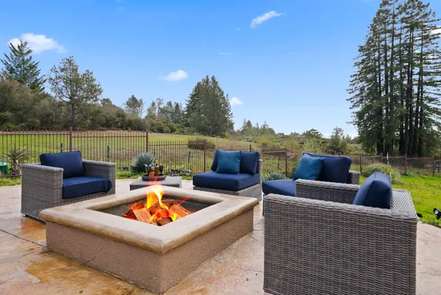 a view of a garden with a bench