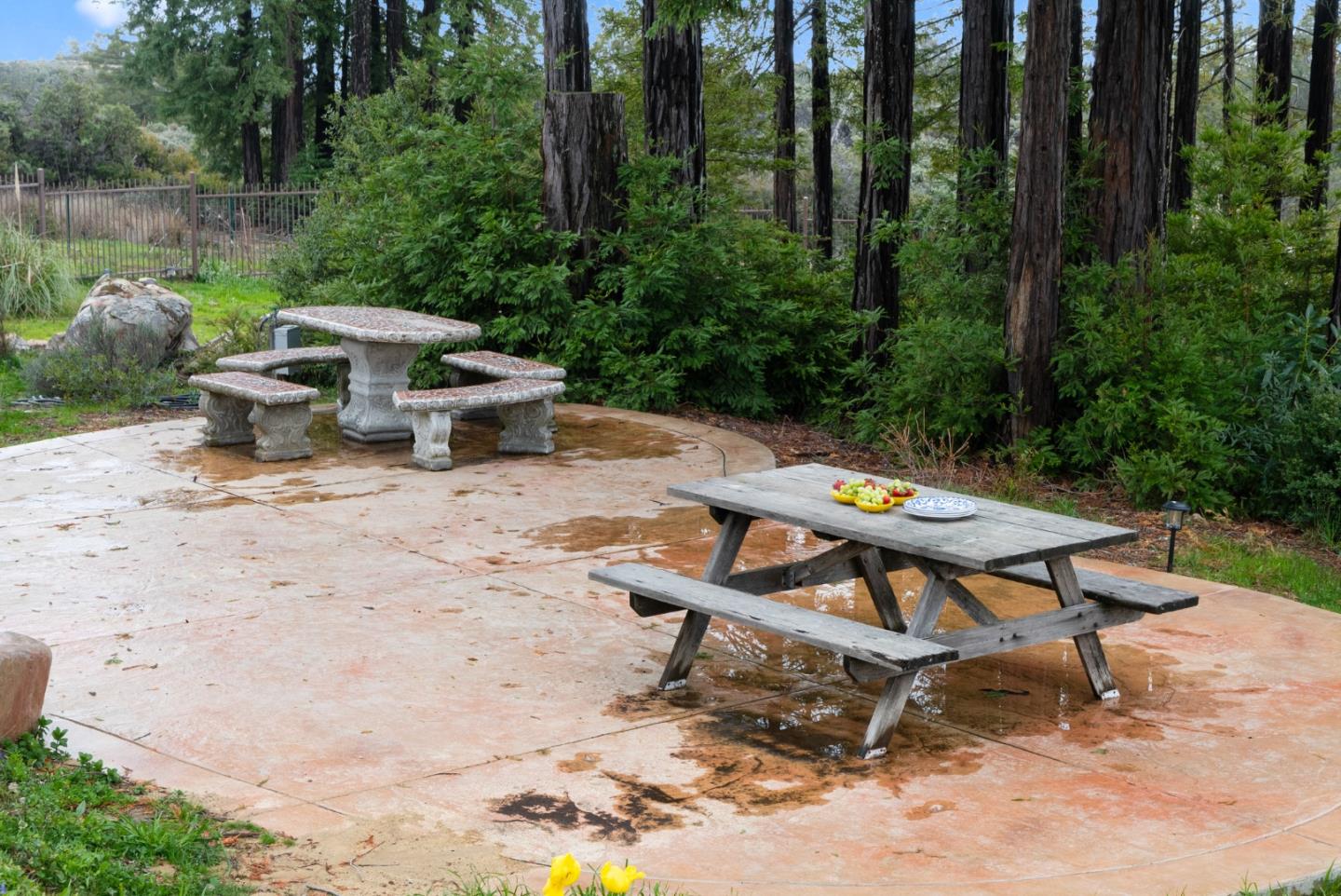 1061 Summit Road Watsonville, CA 95076 - Photo 76 of 84 a view of a backyard with sitting area