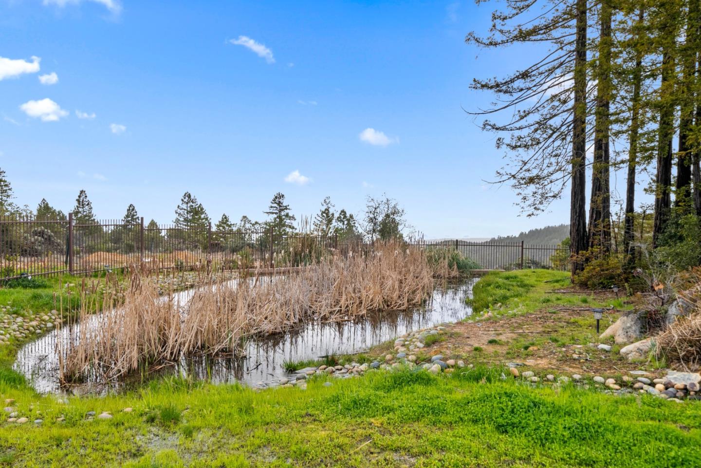 1061 Summit Road Watsonville, CA 95076 - Photo 79 of 84 a view of a lake with a yard and large trees