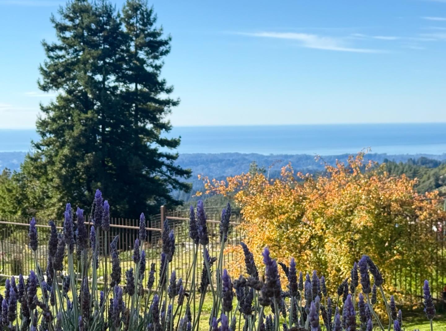 1061 Summit Road Watsonville, CA 95076 - Photo 8 of 92 a view of outdoor space and city view