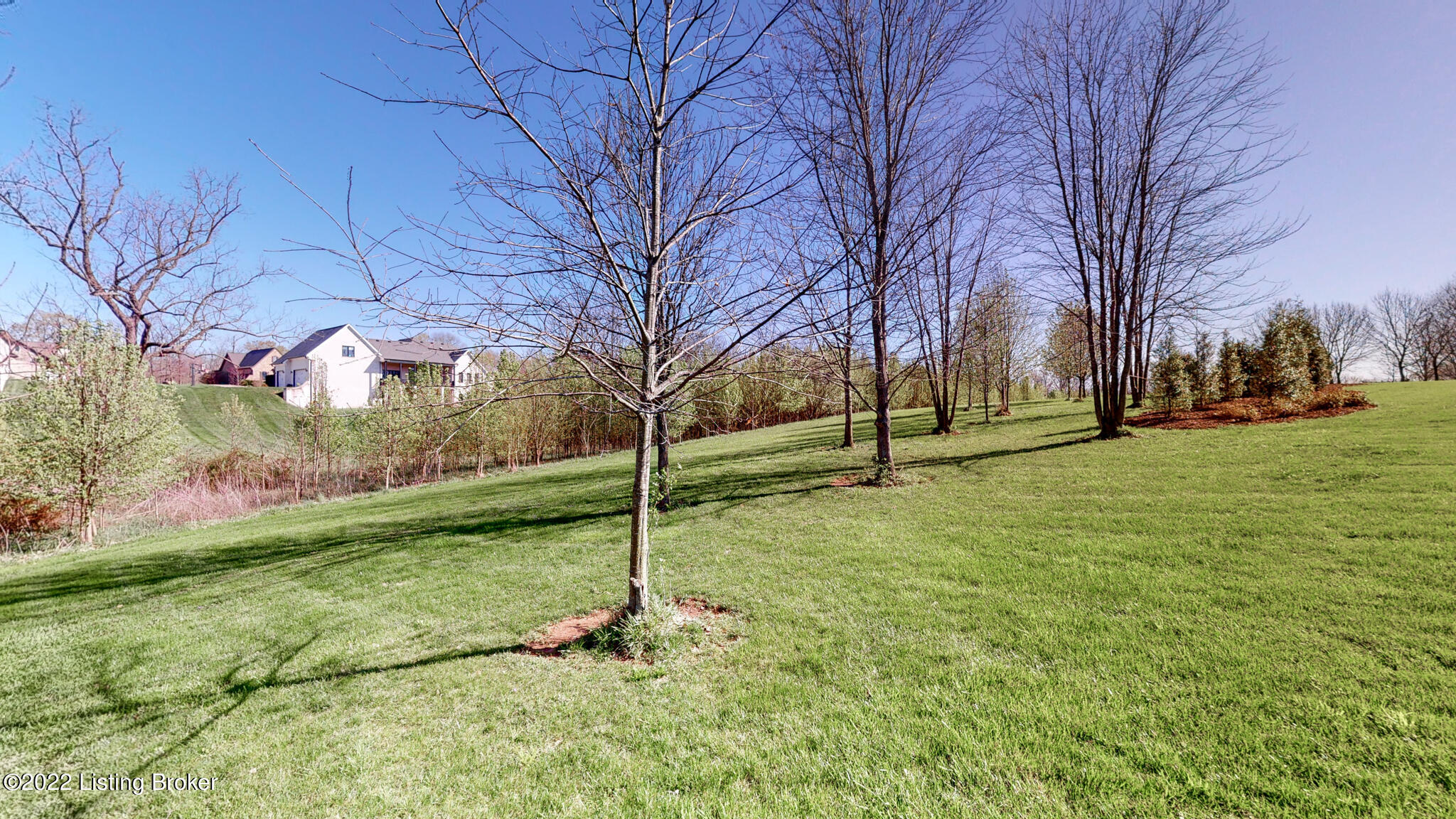 1107 Poplar Ridge Road Goshen, KY 40026 - Photo 45 of 54 Backyard