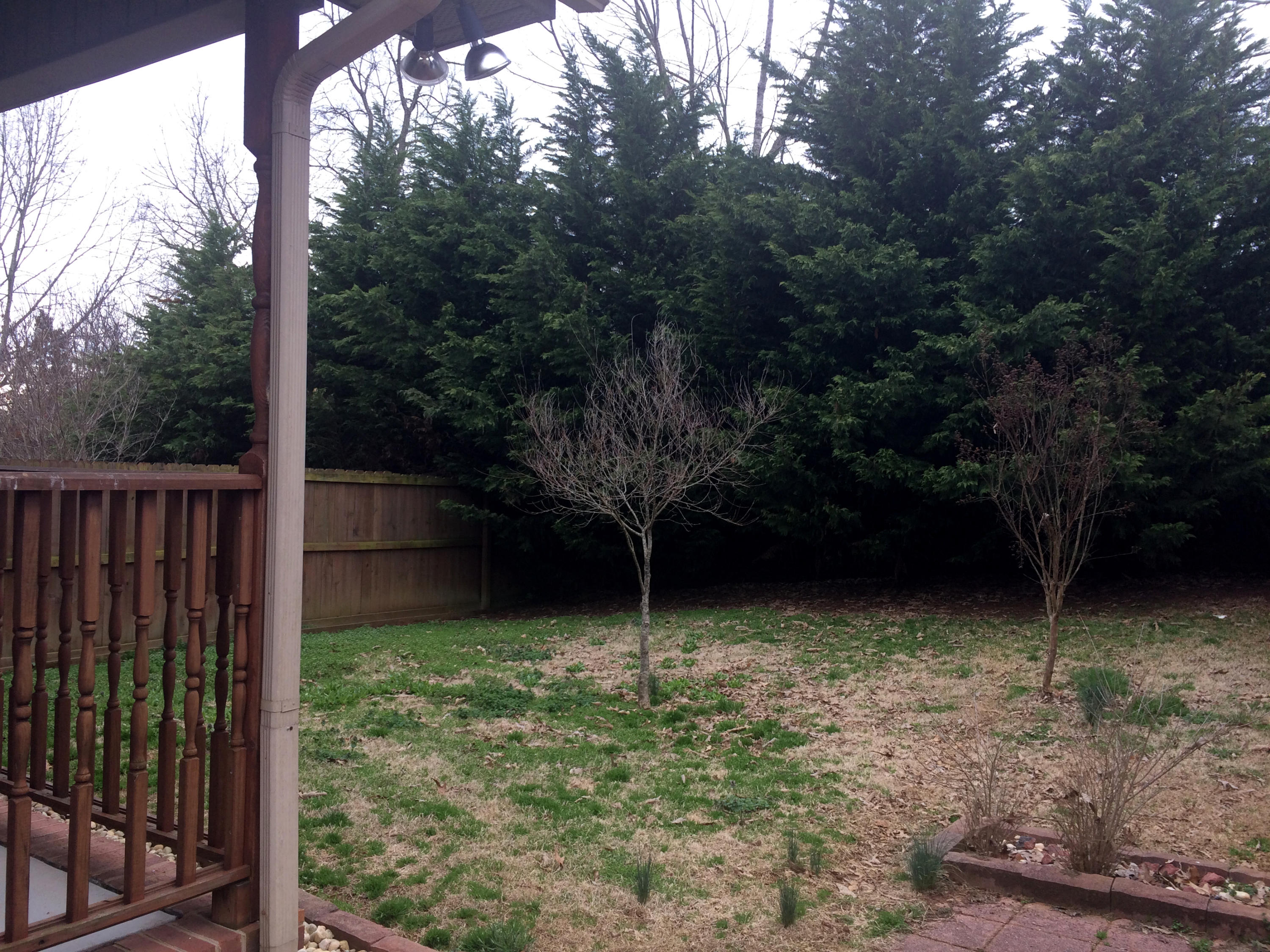 3301 Howell Road Mascot, TN 37806 - Photo 19 of 34 Side Patio