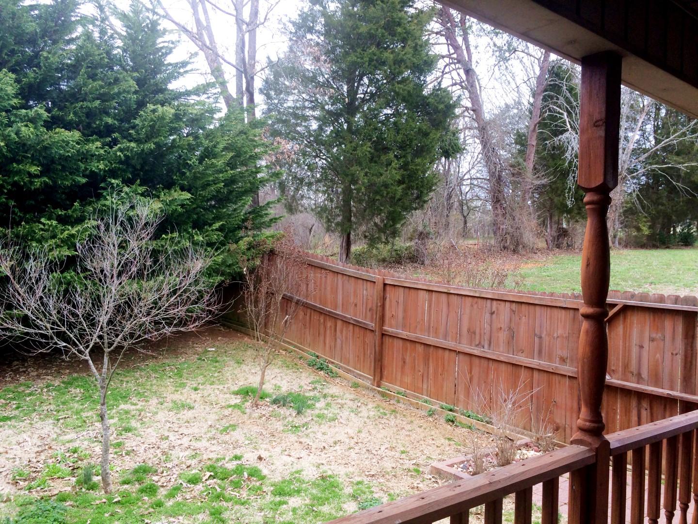 3301 Howell Road Mascot, TN 37806 - Photo 20 of 34 Side Patio