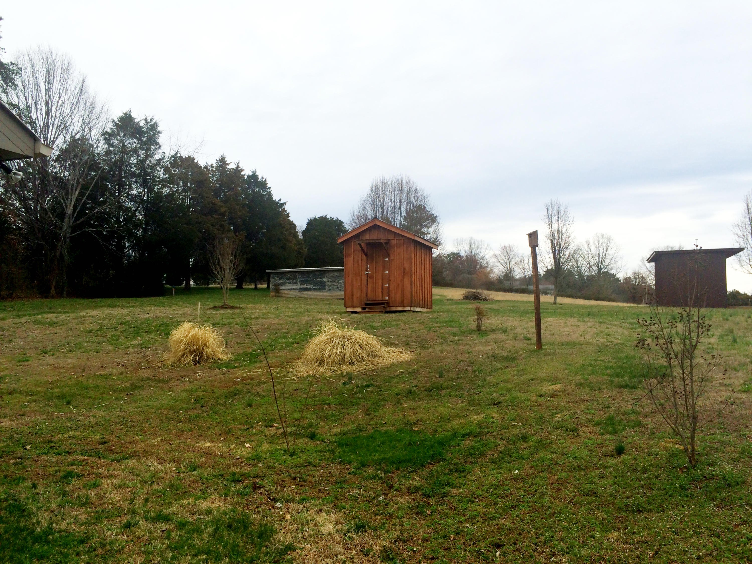 3301 Howell Road Mascot, TN 37806 - Photo 23 of 34 Rear Yard / Storage Sheds