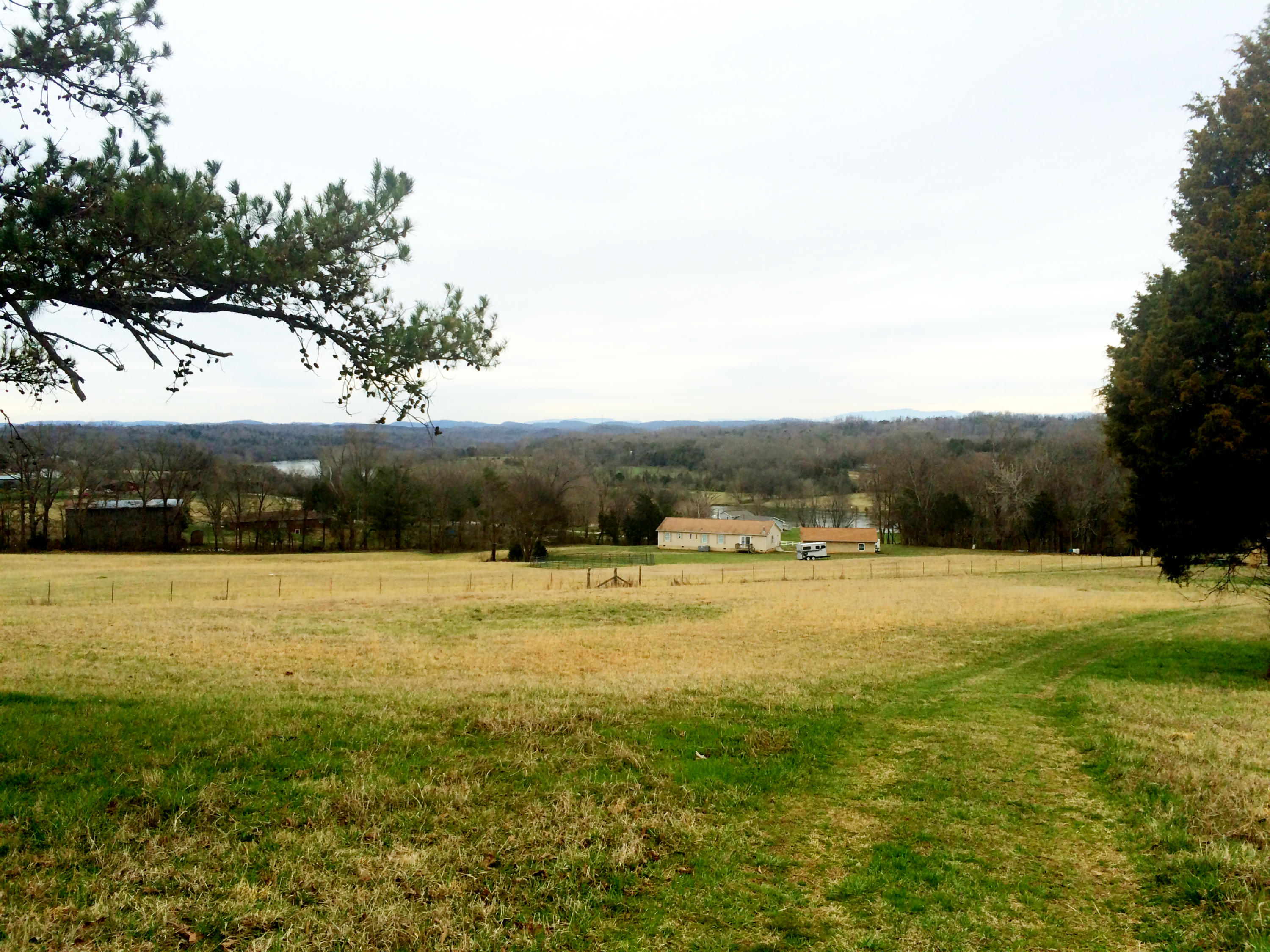3301 Howell Road Mascot, TN 37806 - Photo 26 of 34 View From Dockery Rd