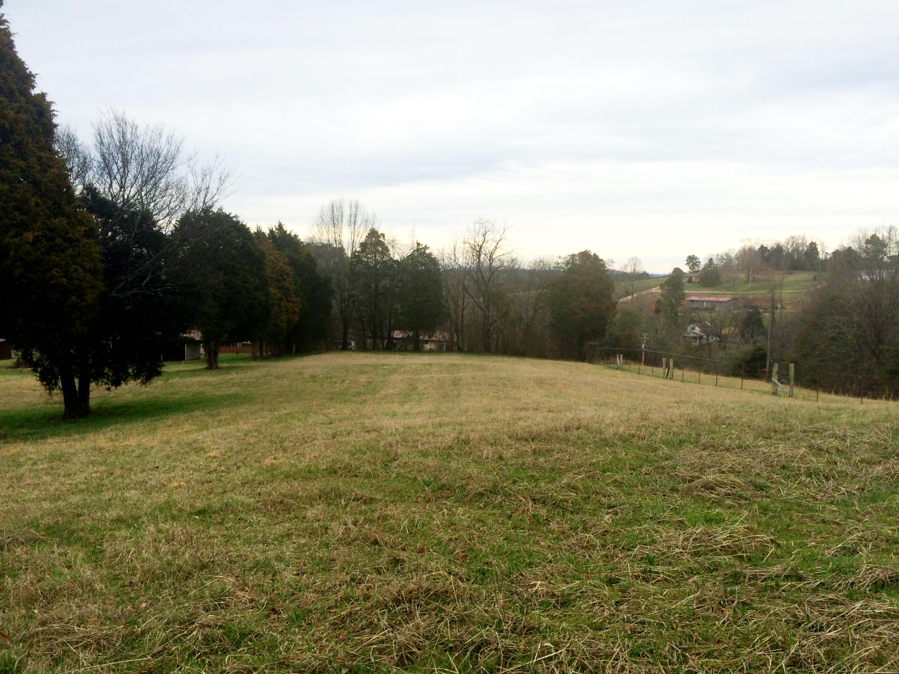 3301 Howell Road Mascot, TN 37806 - Photo 27 of 34 Huge Backyard