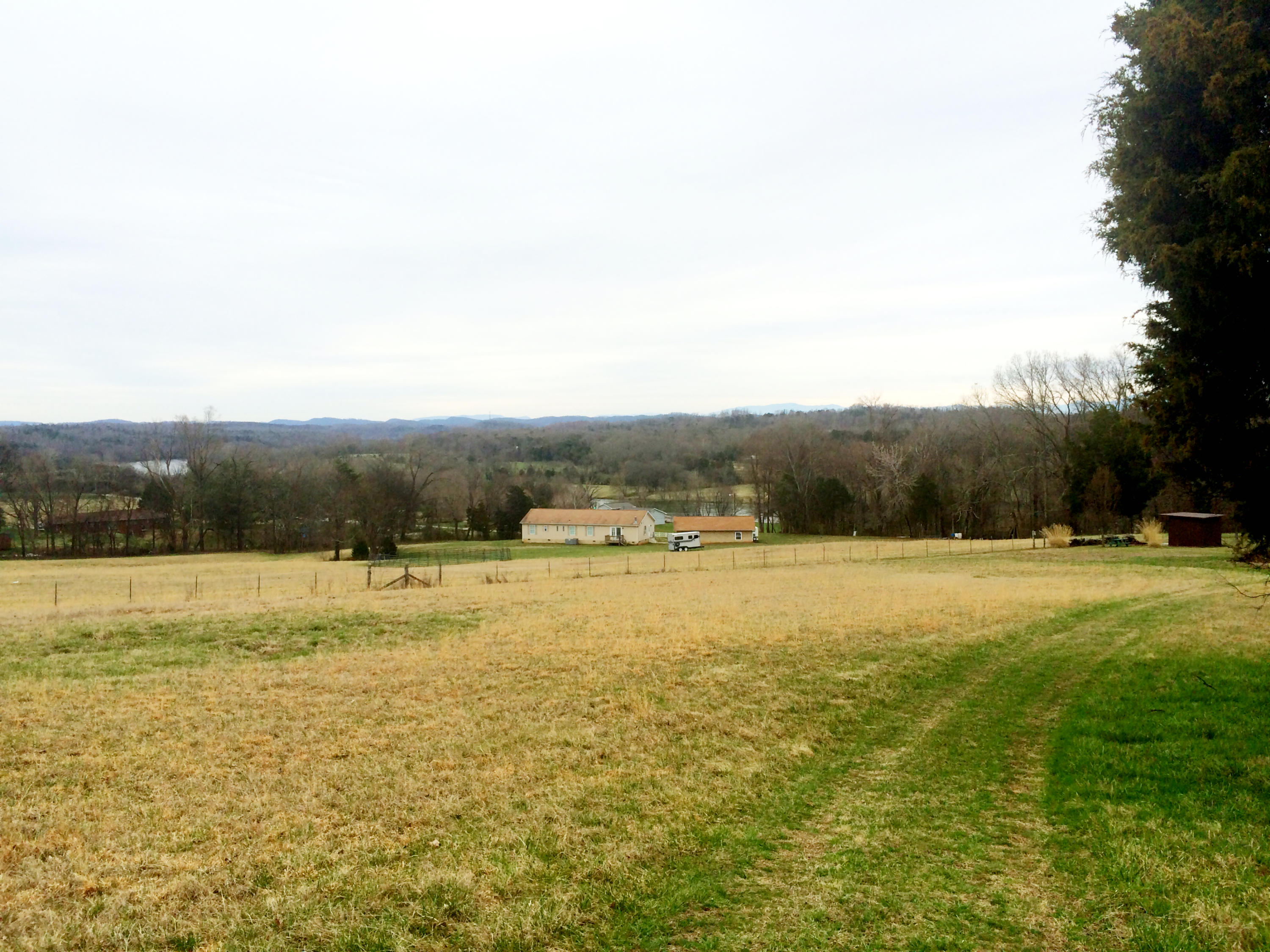 3301 Howell Road Mascot, TN 37806 - Photo 28 of 34 Huge Backyard