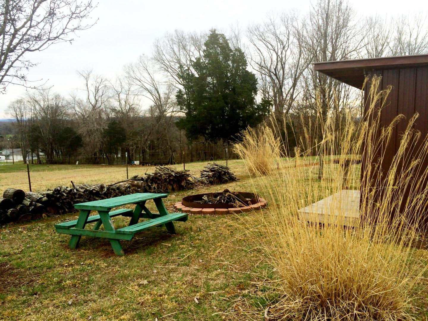 3301 Howell Road Mascot, TN 37806 - Photo 29 of 34 Outdoor Fire Pit