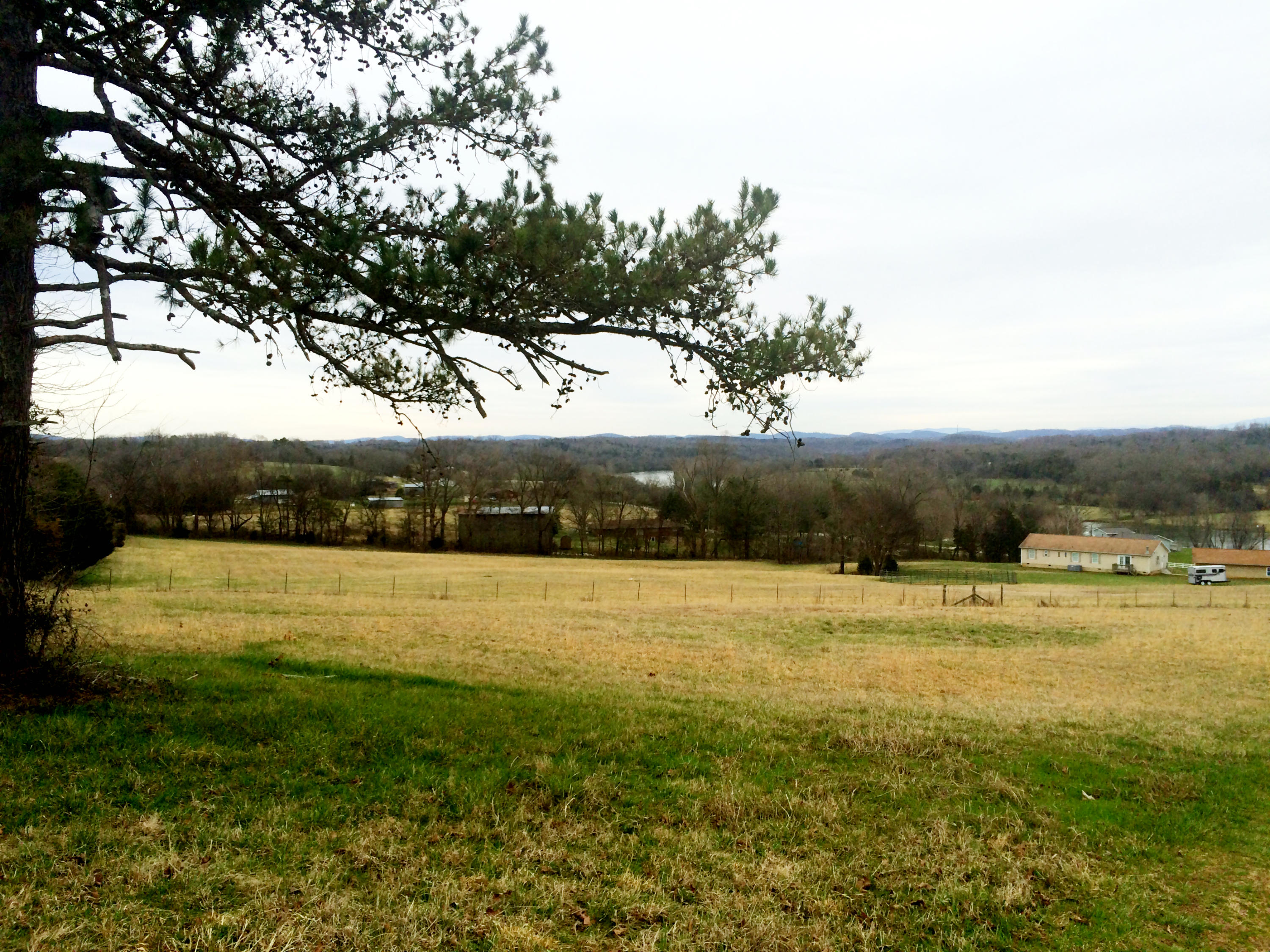 3301 Howell Road Mascot, TN 37806 - Photo 4 of 34 RIver & Mountain Views