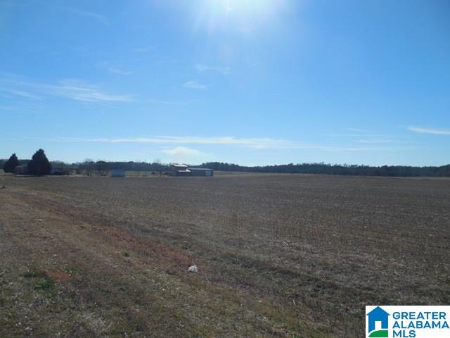 0 Curry Station Road, Unit 1 Munford, AL 36268 - Photo 9 of 14