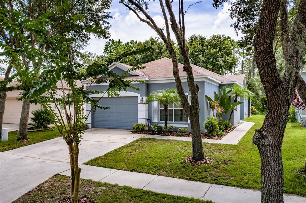 6110 Kiteridge Drive Lithia, FL 33547 - Photo 1 of 1