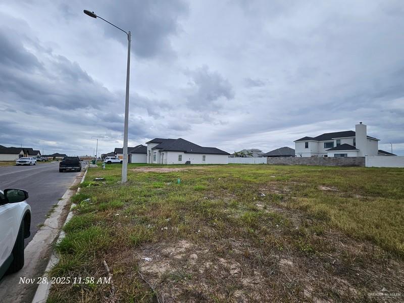 1007 Wesley Street Pharr, TX 78577 - Photo 3 of 6 a view of a garden with an outdoor space