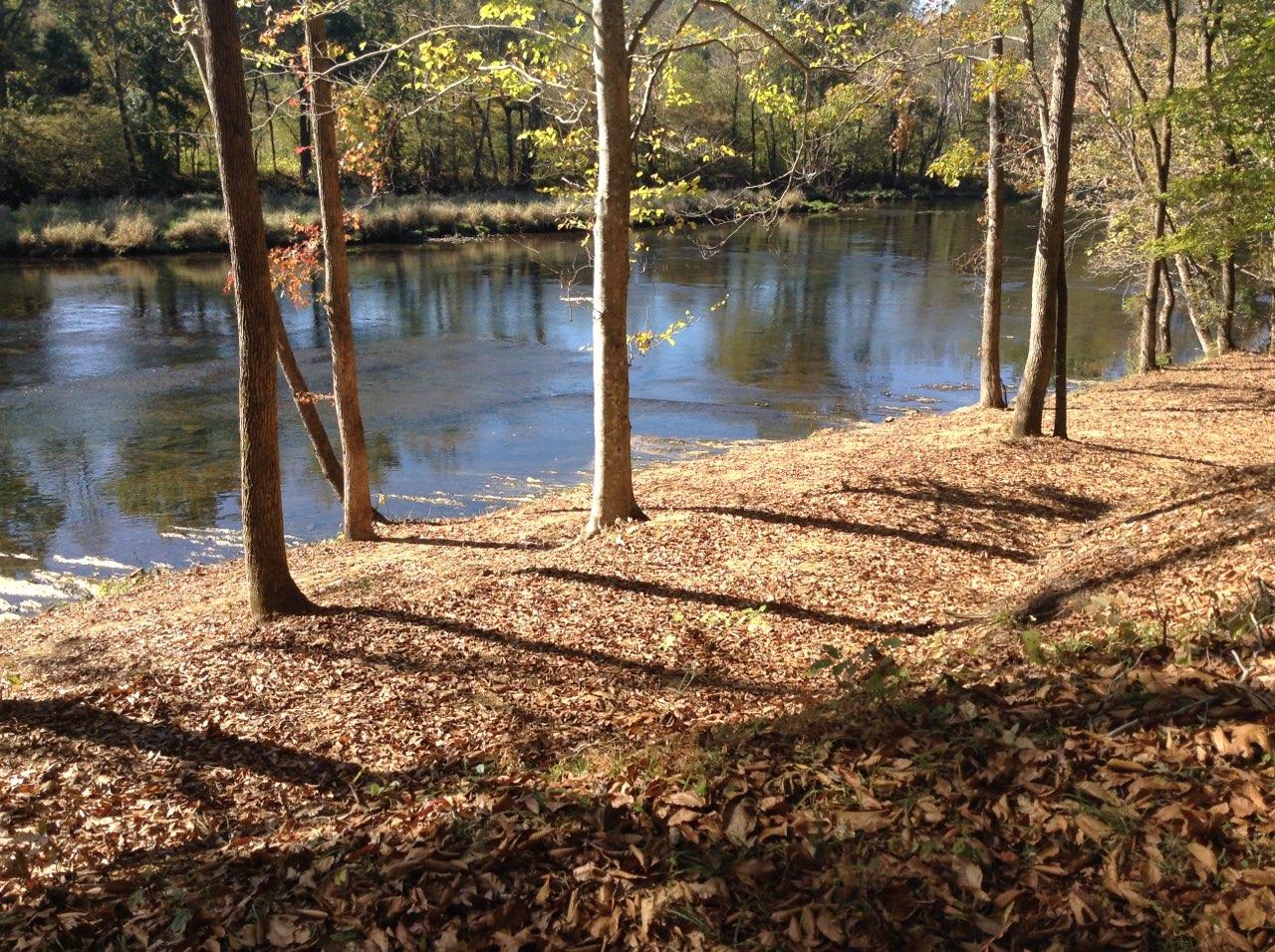 383 Tva Road South Bristol, TN 37620 - Photo 31 of 37 River