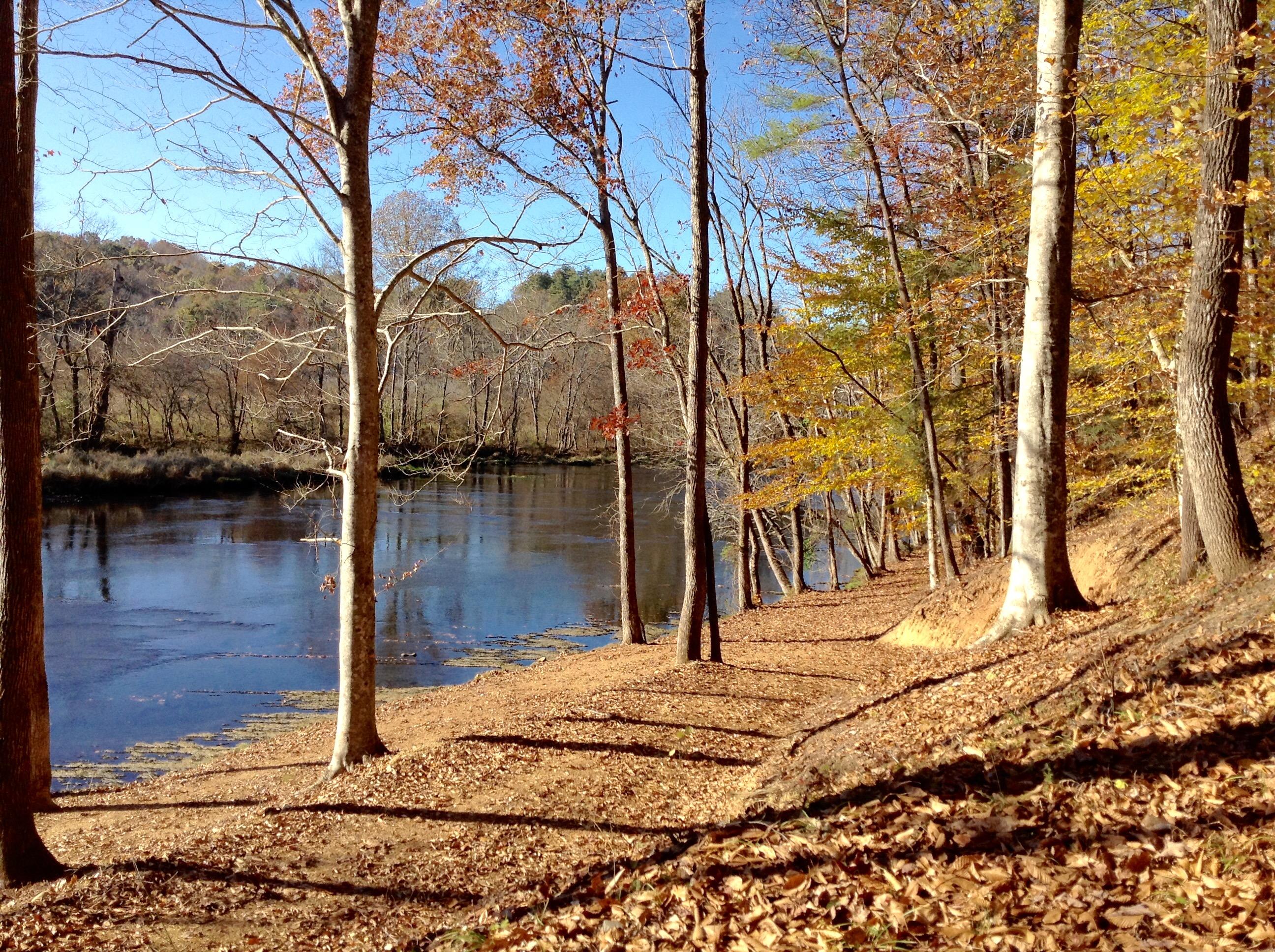 383 Tva Road South Bristol, TN 37620 - Photo 32 of 37 SUNNY RIVER