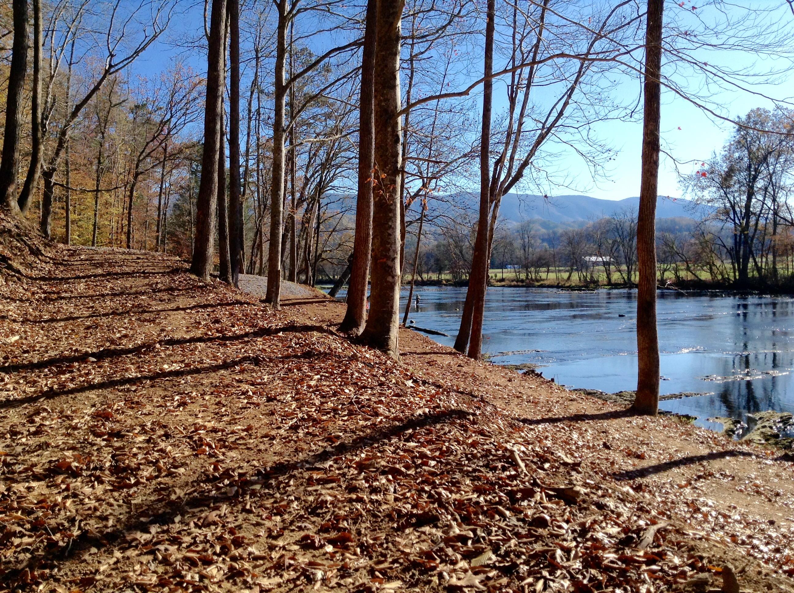 383 Tva Road South Bristol, TN 37620 - Photo 33 of 37 SUNNY RIVER 2