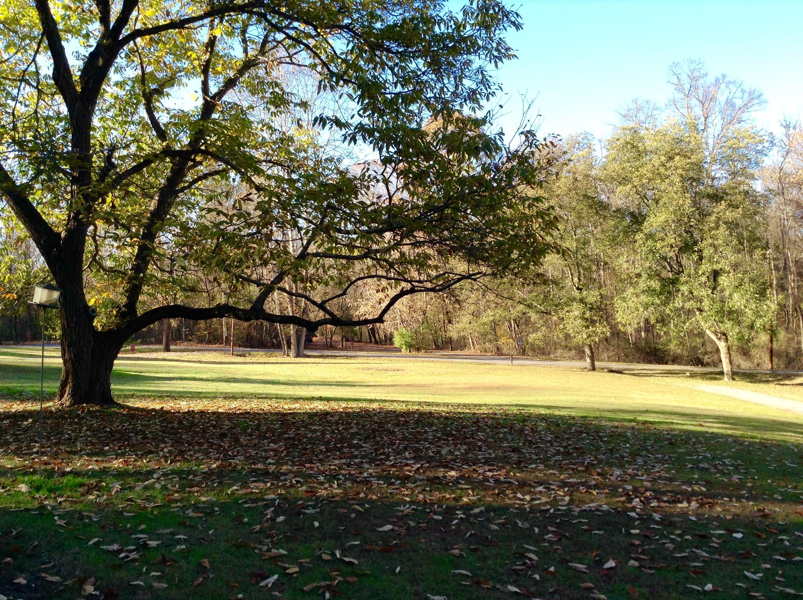 383 Tva Road South Bristol, TN 37620 - Photo 5 of 37 FRONT YARD