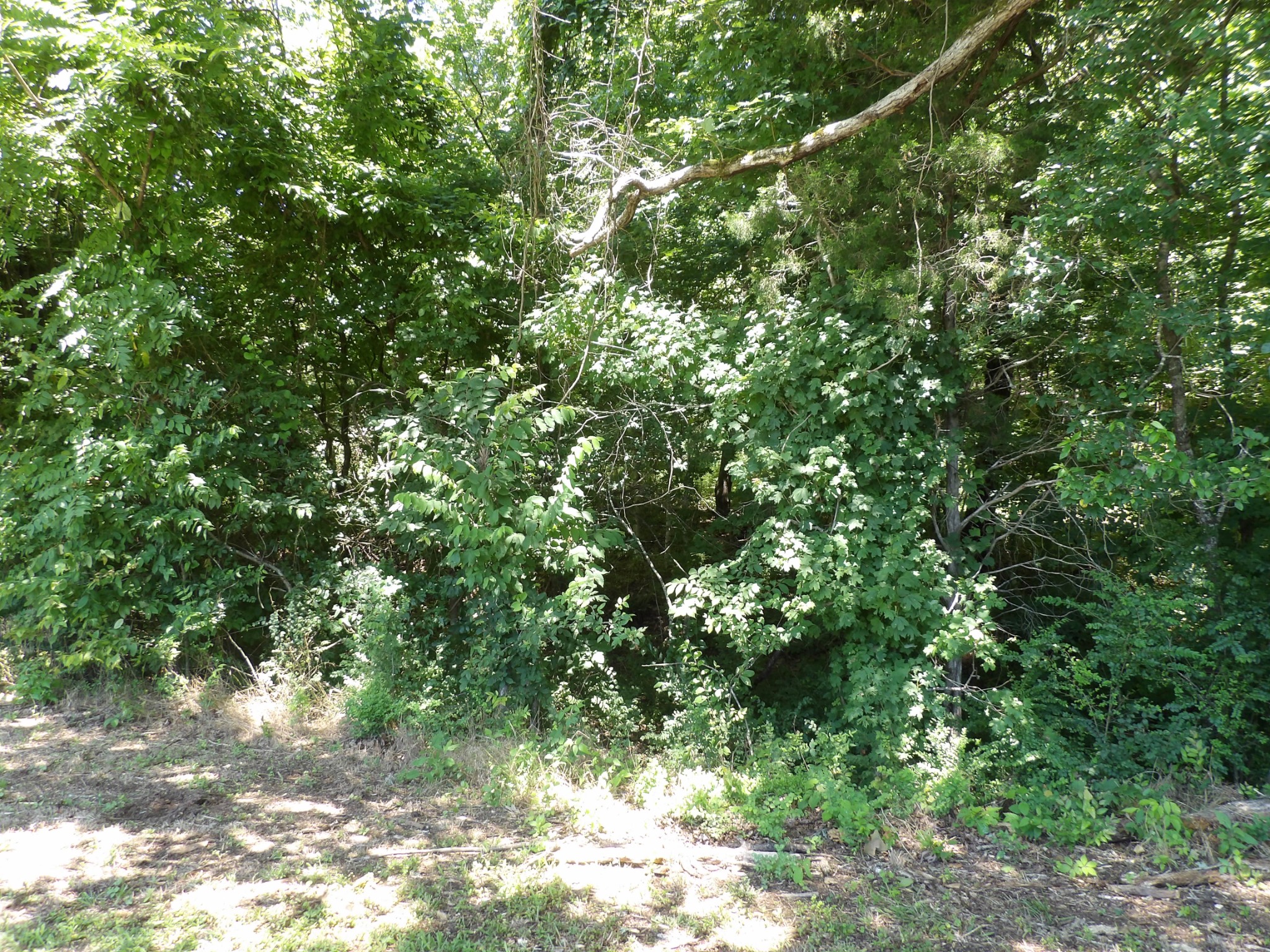 587 West Little Richland Road Waverly, TN 37185 - Photo 4 of 26
