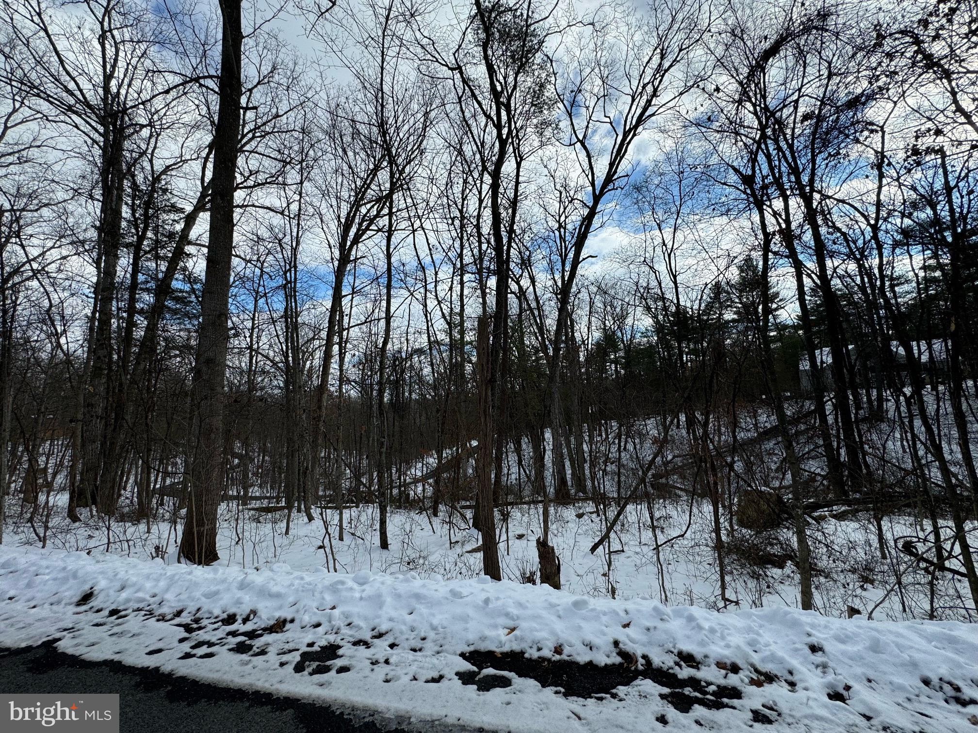 Lot 316 Sycamore Rd Mount Mount Jackson, VA 22842 - Photo 1 of 4 a view of a yard covered with snow in the background