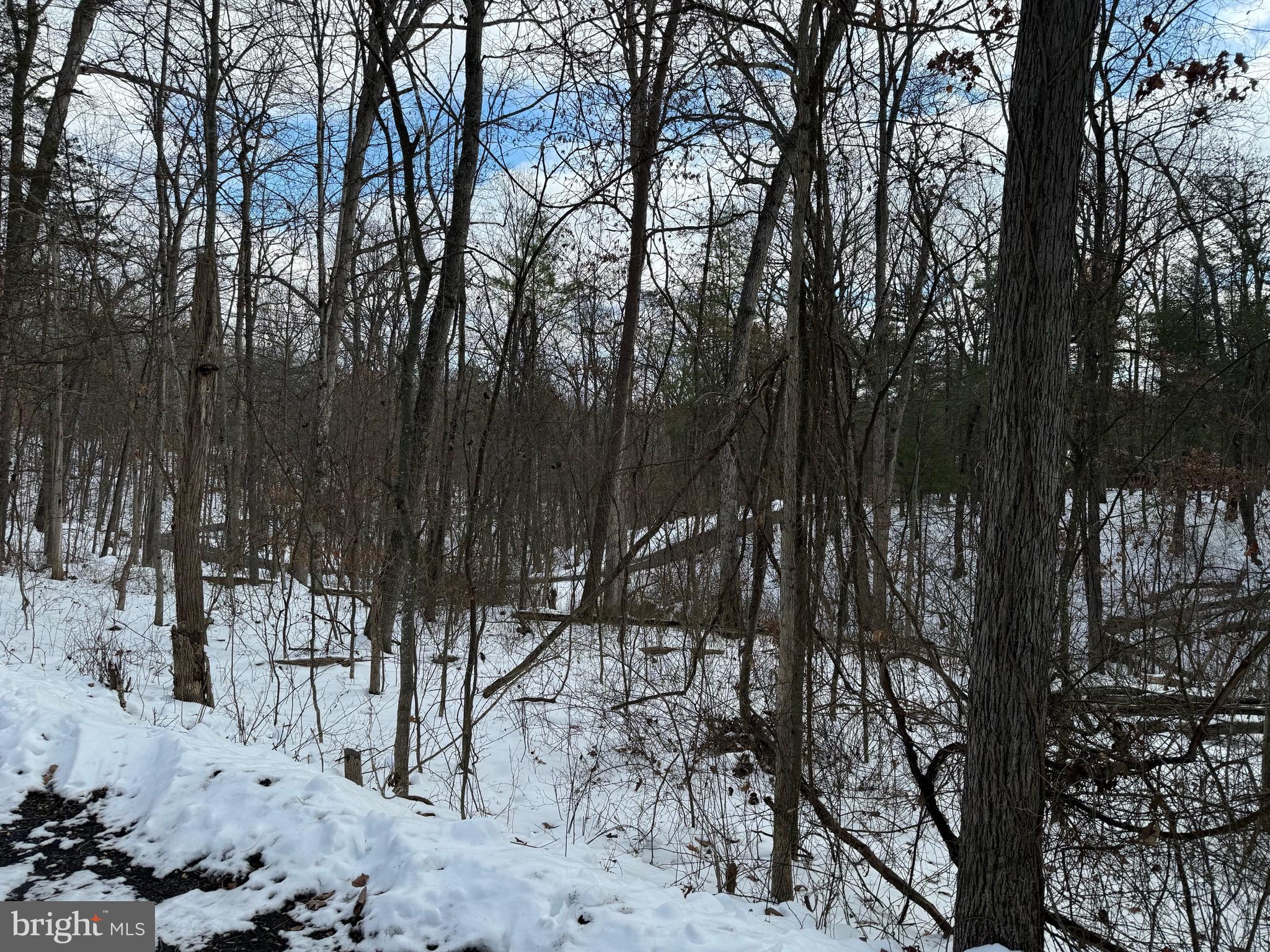 Lot 316 Sycamore Rd Mount Mount Jackson, VA 22842 - Photo 2 of 4 a view of outdoor space
