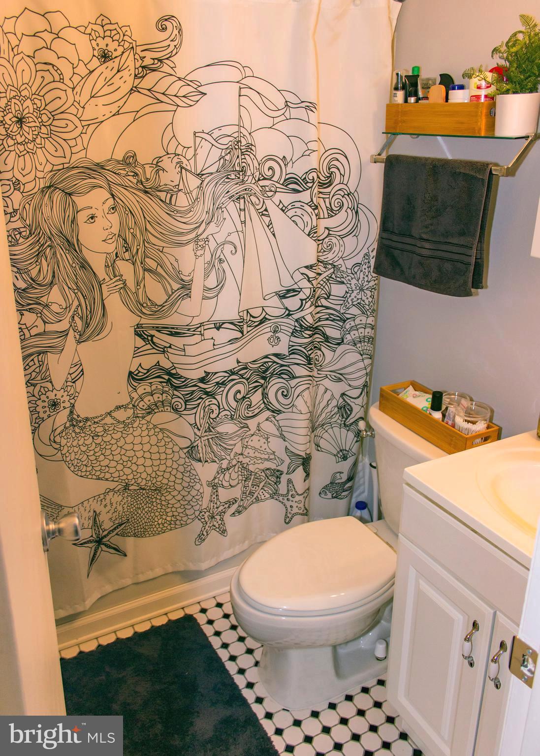 4014 Issacs Road Baltimore, MD 21220 - Photo 12 of 20 Master Bathroom