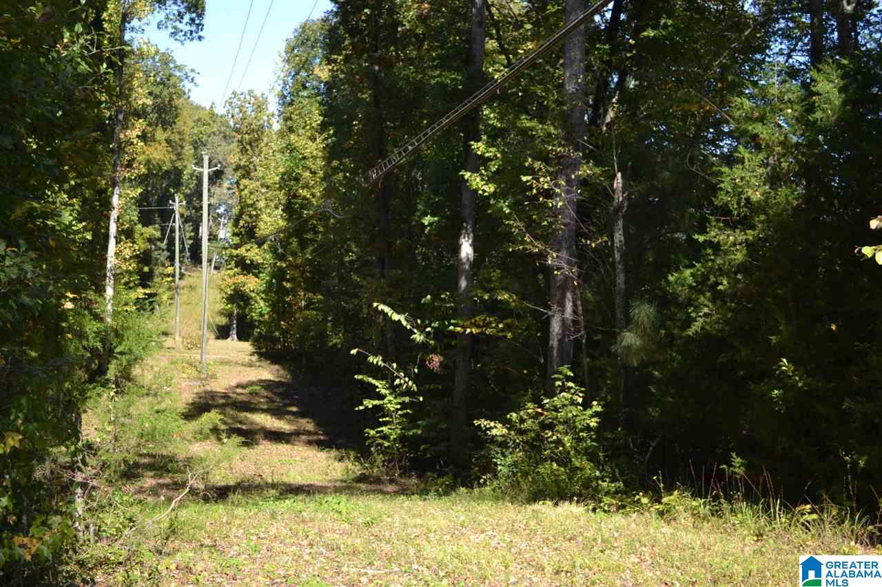 17871 Highway 75, Unit 5 7 ACRES Remlap, AL 35133 - Photo 11 of 23