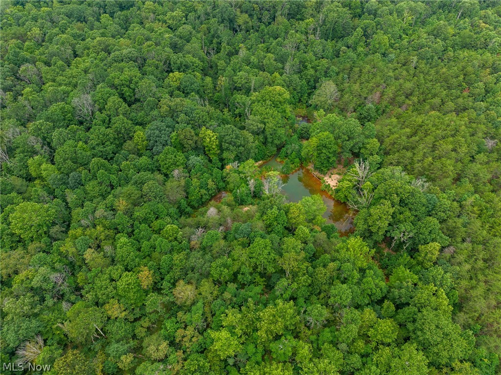 Peaker Run Road Macksburg, OH 45746 - Photo 36 of 44