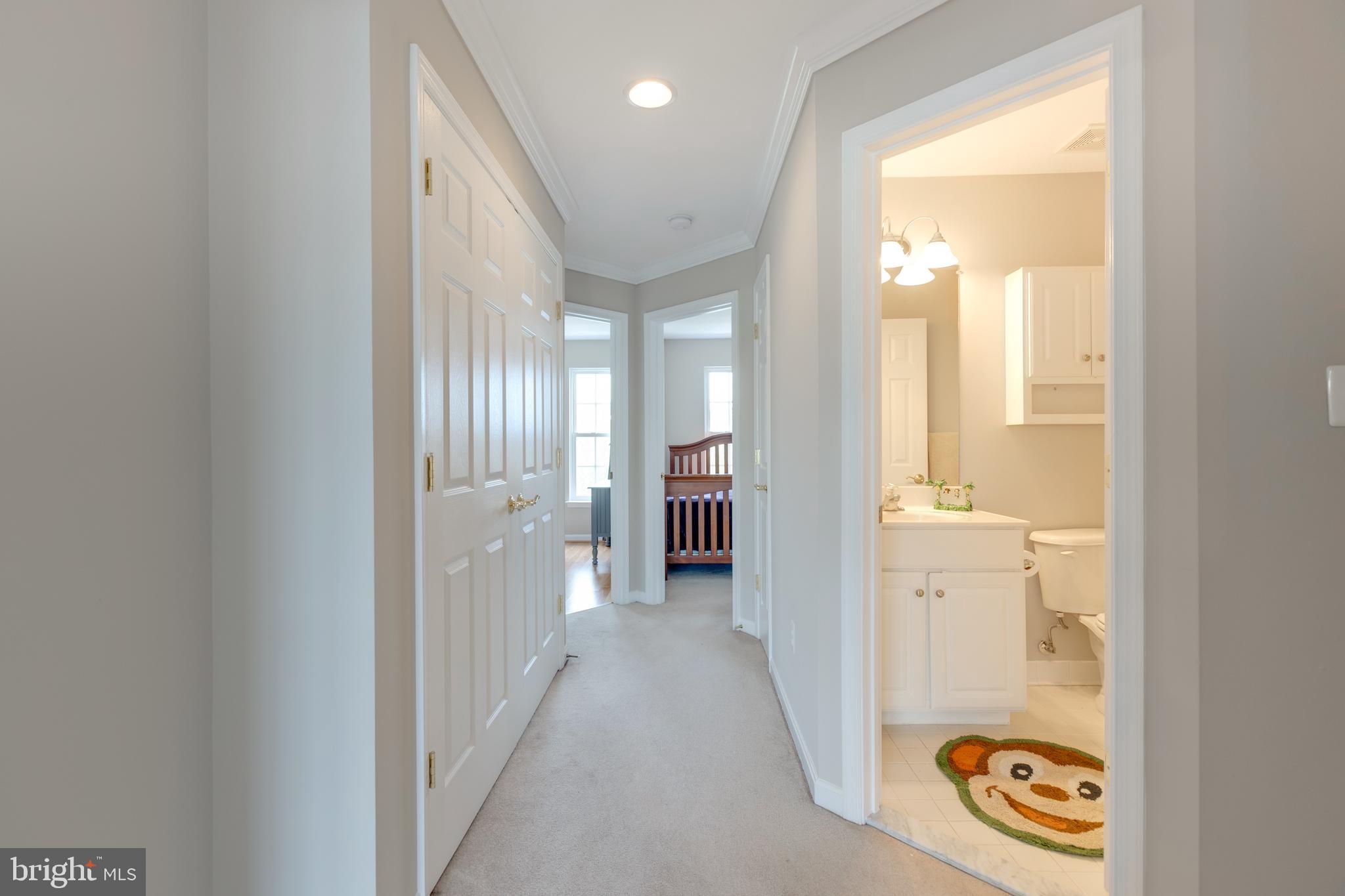 24612 Nettle Mill Square Aldie, VA 20105 - Photo 24 of 38 Upper Level Hallway