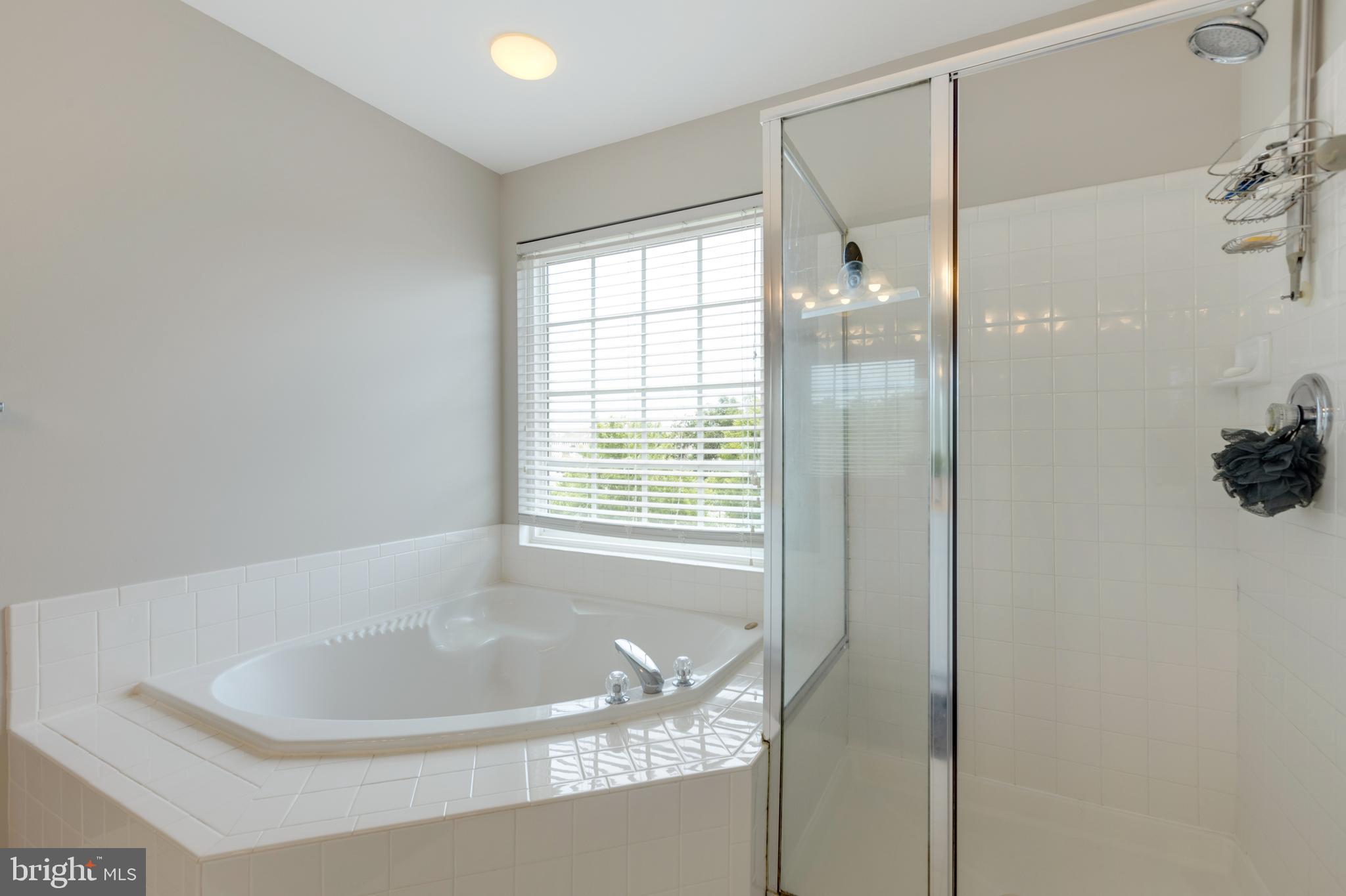 24612 Nettle Mill Square Aldie, VA 20105 - Photo 28 of 38 Master Soaking tub and stand up shower