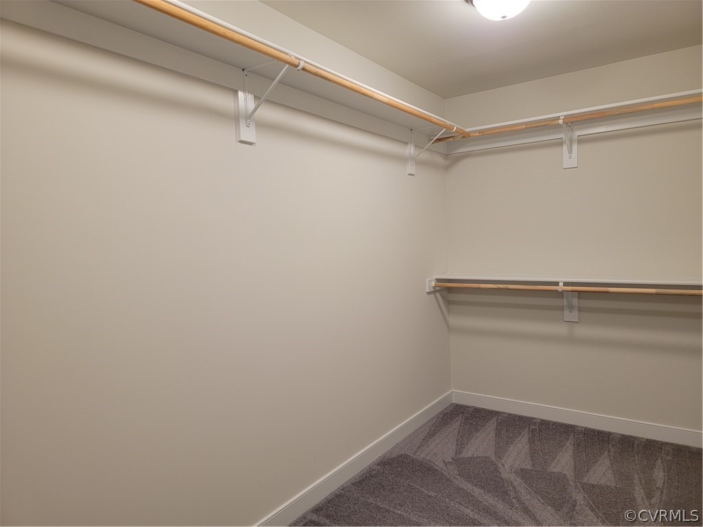 12013 Corte Castle Road Chesterfield, VA 23838 - Photo 22 of 43 a view of walk in closet with empty racks