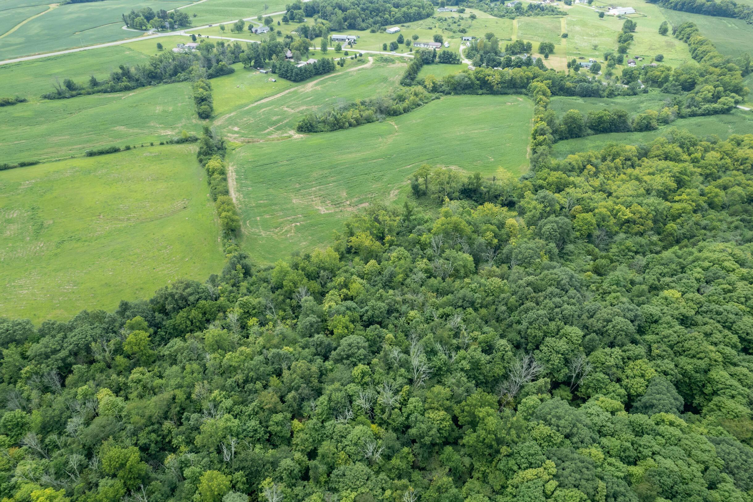 12560 Miami Trace Road Greenfield, OH 45123 - Photo 4 of 11 12560MiamiTraceRd-40Ac-4
