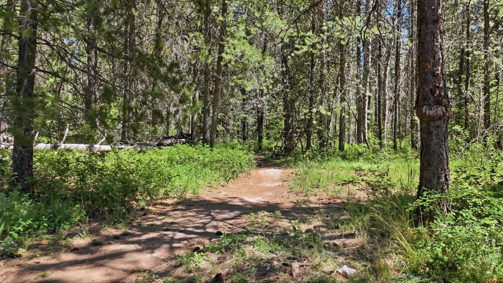 37106 North Muehle Road Elk, WA 99009 - Photo 28 of 32