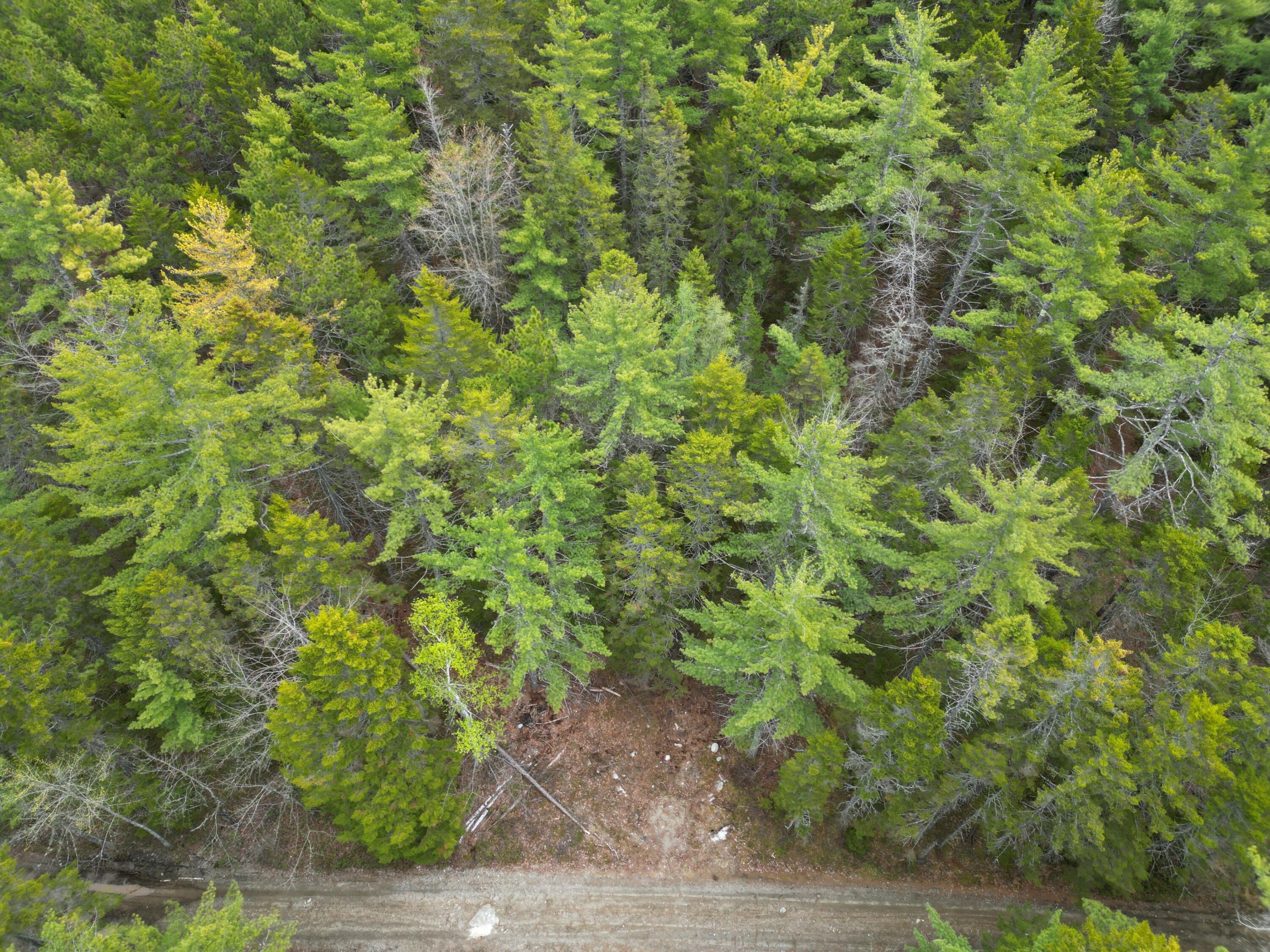 1323 Deer Haven Road Wesley, ME 04686 - Photo 13 of 14 DJI_0426