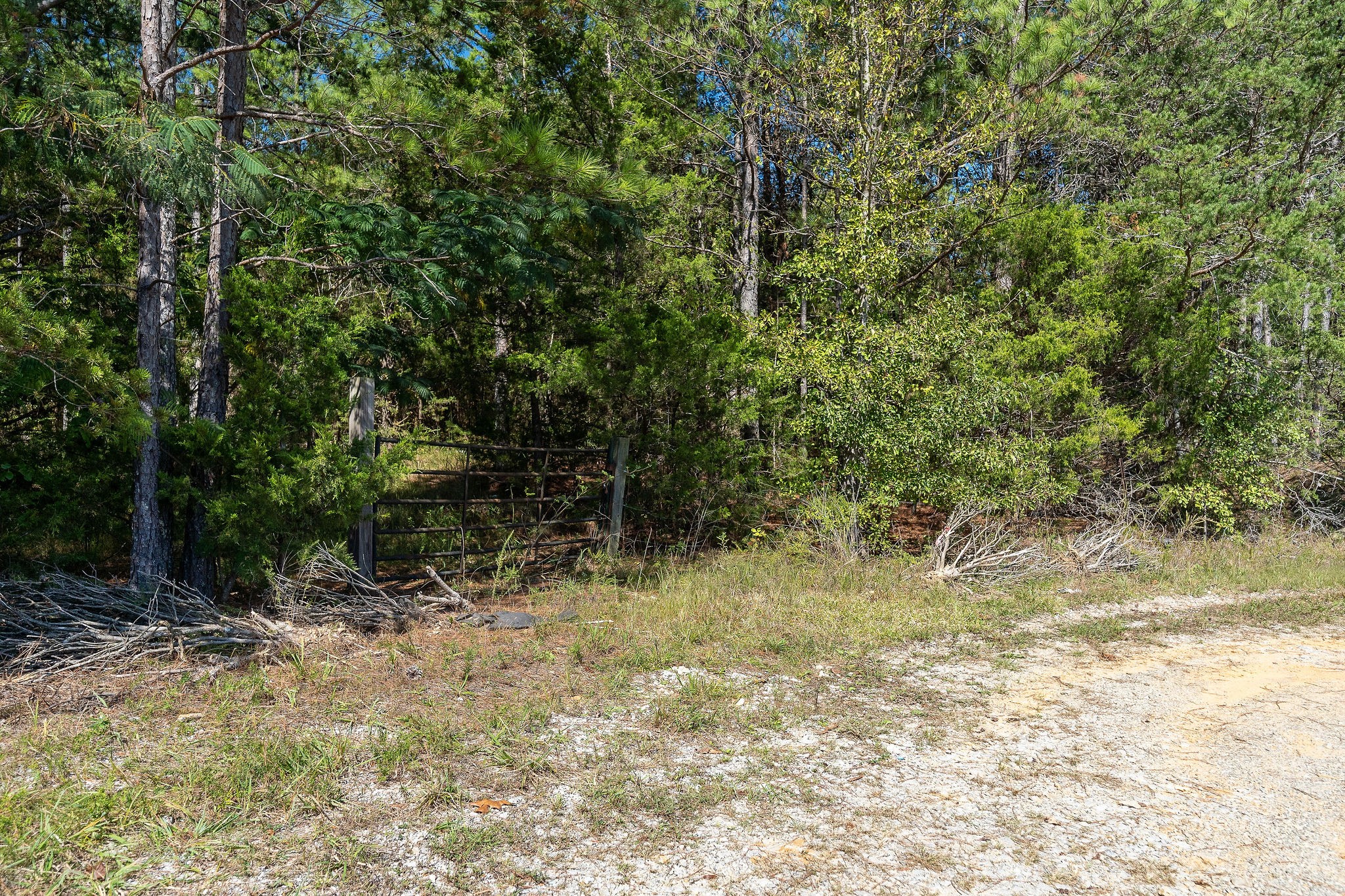 0 R R Gribble Road Rock Island, TN 38581 - Photo 13 of 16
